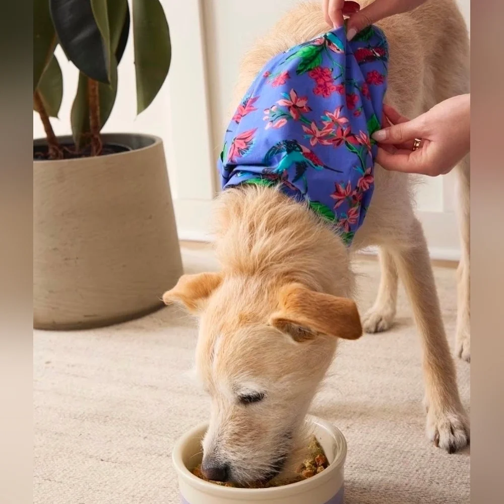Printfresh Hummingbird Haven - Pet Bandana - Crocus Medium